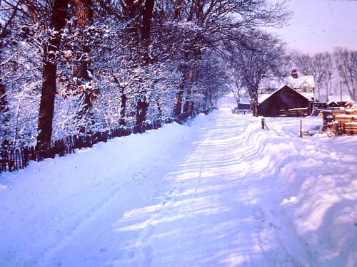 Park Road in the Winter 1970's